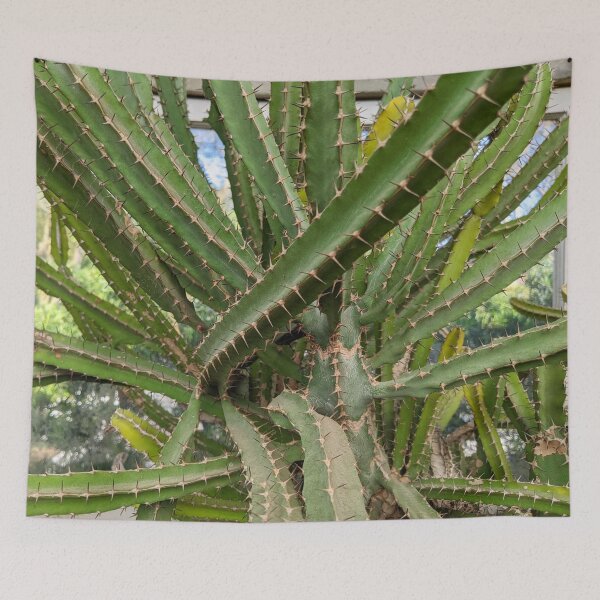 Item preview, Cactus designed and sold by Shapes-Mania.