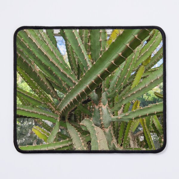 Item preview, Cactus designed and sold by Shapes-Mania.