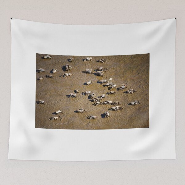 Item preview, Cast Of Crabs designed and sold by Cynthia48.
