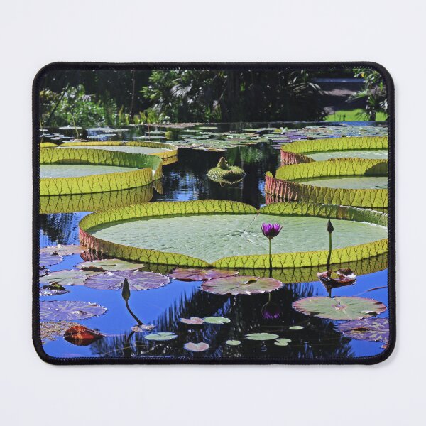 Item preview, The Conclusion  designed and sold by Michiale.