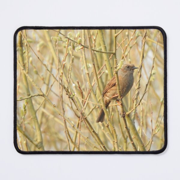 Item preview, Dunnock perching on a twiggy branch designed and sold by TwistedClassics.