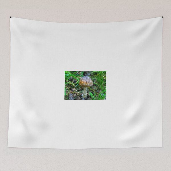 Item preview, In the Boreal Forest designed and sold by Larry Trupp.