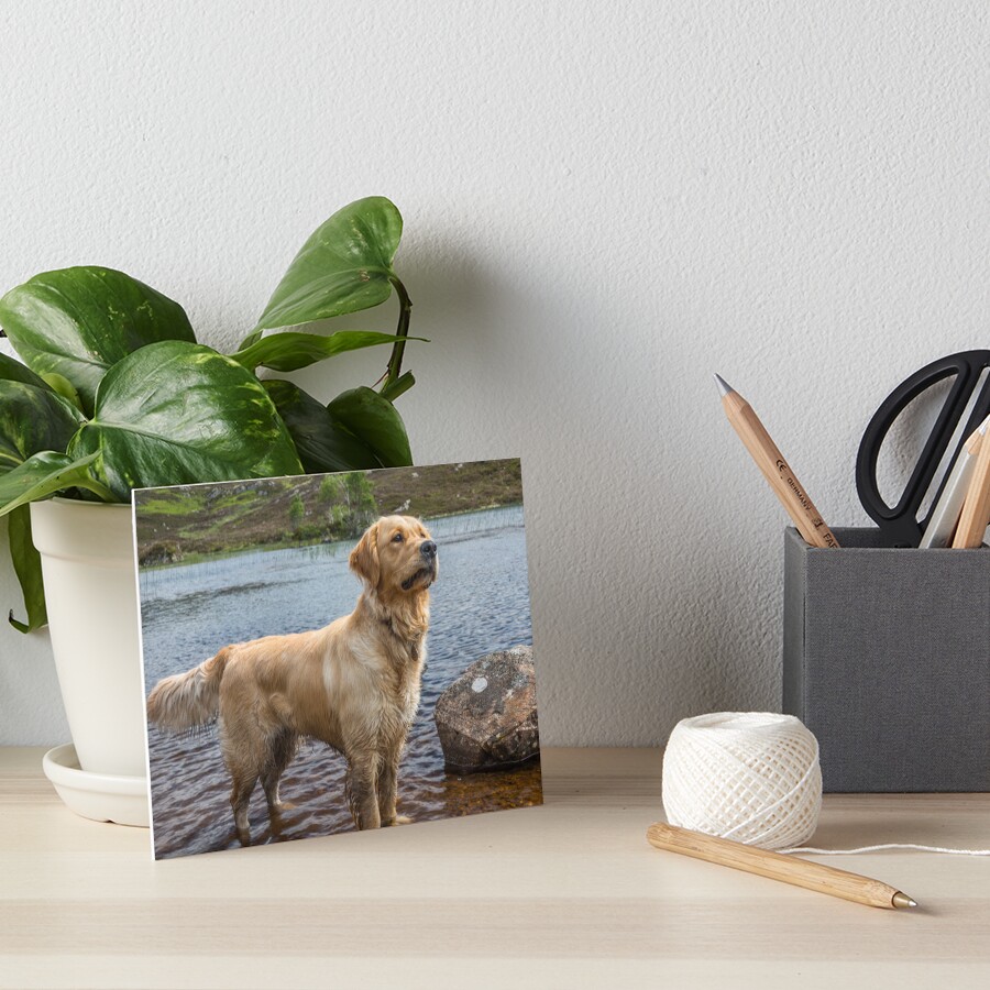Item preview, Art Board Print designed and sold by neandercol.