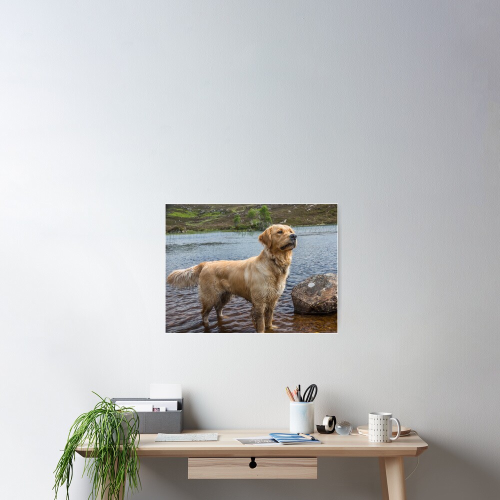 Item preview, Poster designed and sold by neandercol.
