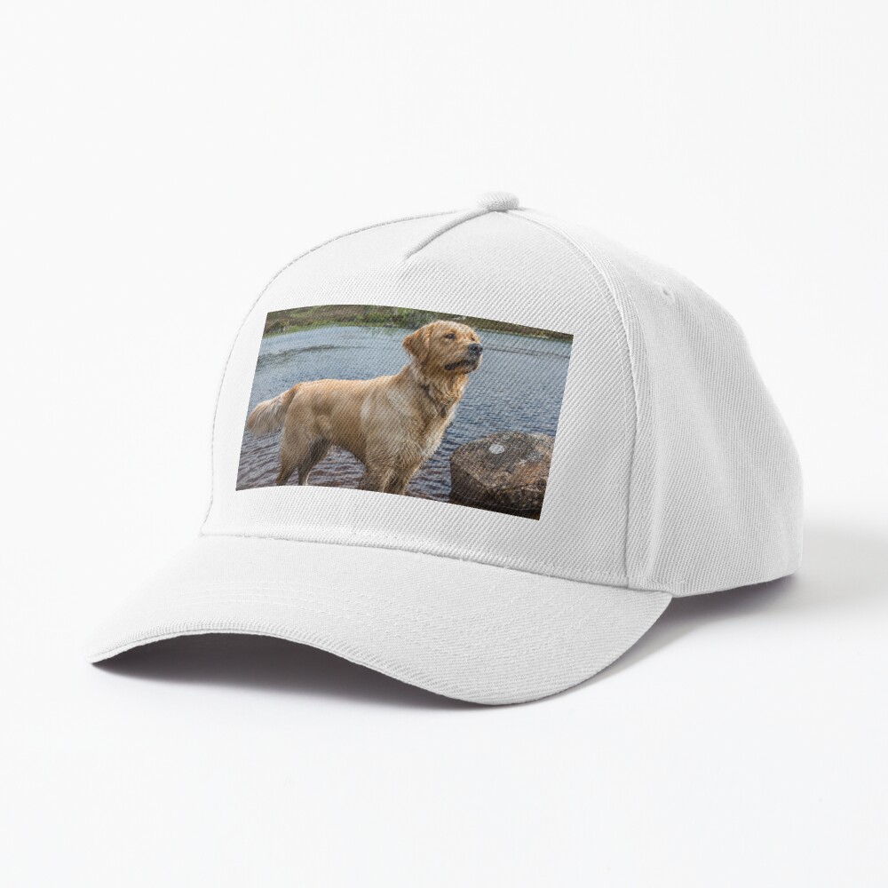 Item preview, Baseball Cap designed and sold by neandercol.