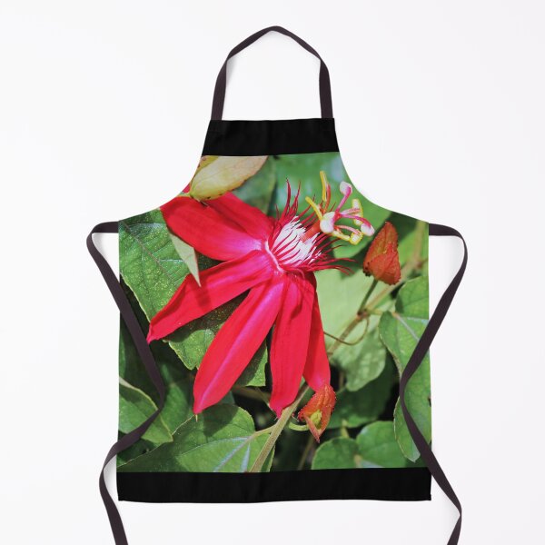 Item preview, Mythical Mirth  designed and sold by Michiale.