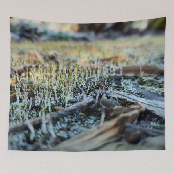 Item preview, moss with ice designed and sold by Gourmetkater.