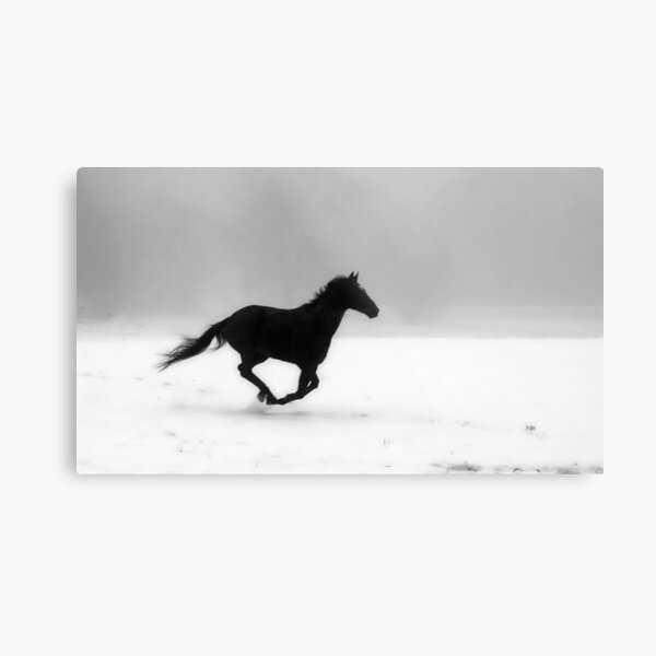 Freedom Metal Print