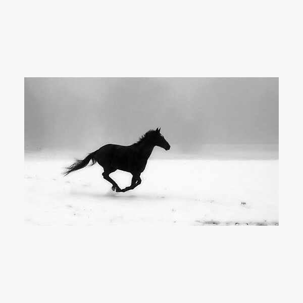 Freedom Photographic Print