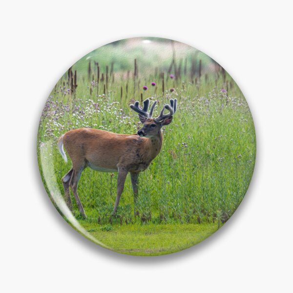 Item preview, Peaceful Buck designed and sold by Greg Birkett.