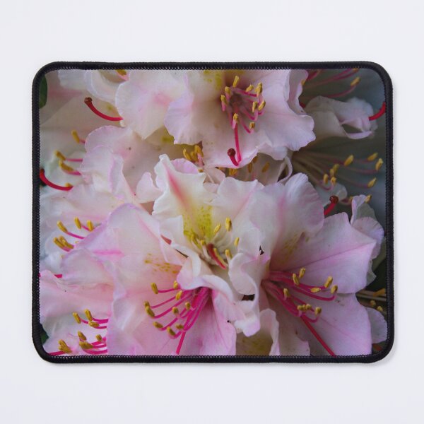 Item preview, simply pretty designed and sold by Perggals© - Stacey Turner.