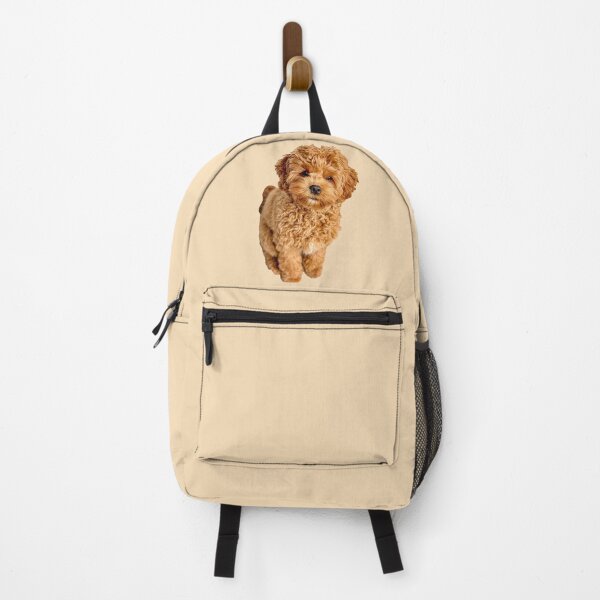 Item preview, Cavapoo designed and sold by thecavapootales.