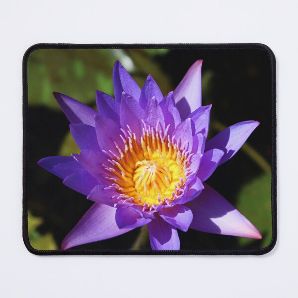 Item preview, Powerful Complexity  designed and sold by Michiale.