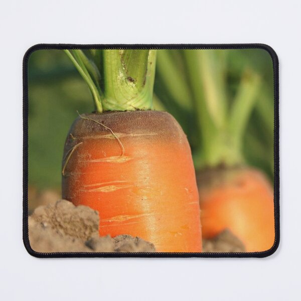 Item preview, Soil and Carrot designed and sold by Soy-el-Soil.