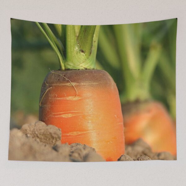 Item preview, Soil and Carrot designed and sold by Soy-el-Soil.