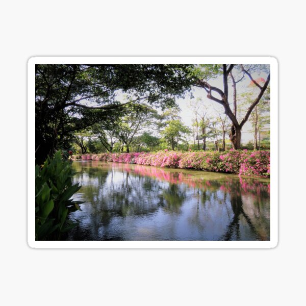 Flowers and reflections, King Rama IX Park, Bangkok Sticker