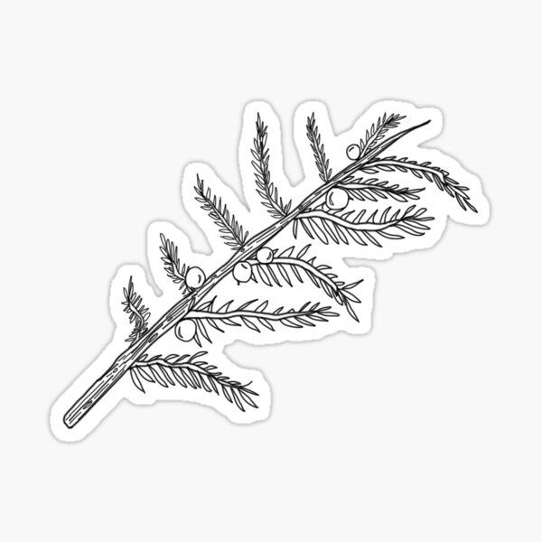 Juniper Sticker