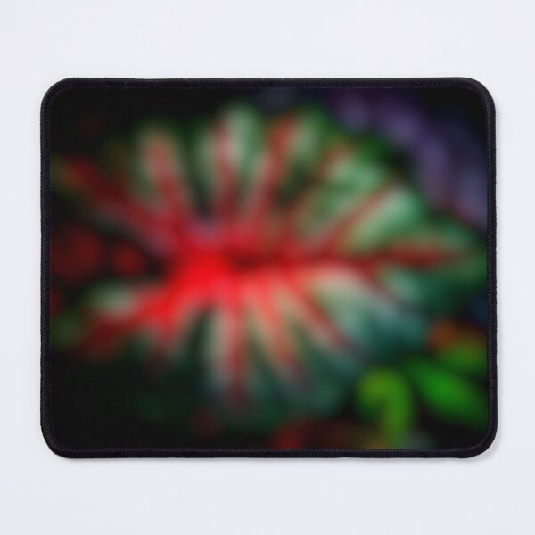 Item preview, Bonsee name of Caladium in imagination. designed and sold by Pattanapong Pongampai.