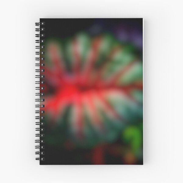 Item preview, Bonsee name of Caladium in imagination. designed and sold by Pattanapong Pongampai.