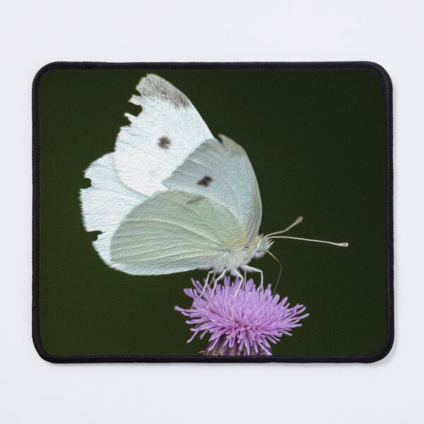 Item preview, Butterfly paint designed and sold by Greg Birkett.