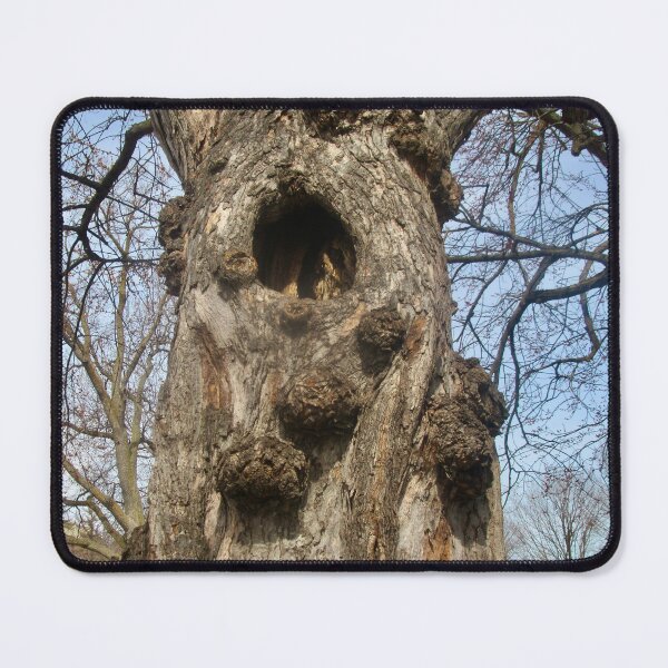 Item preview, Hollow Tree designed and sold by Shulie1.
