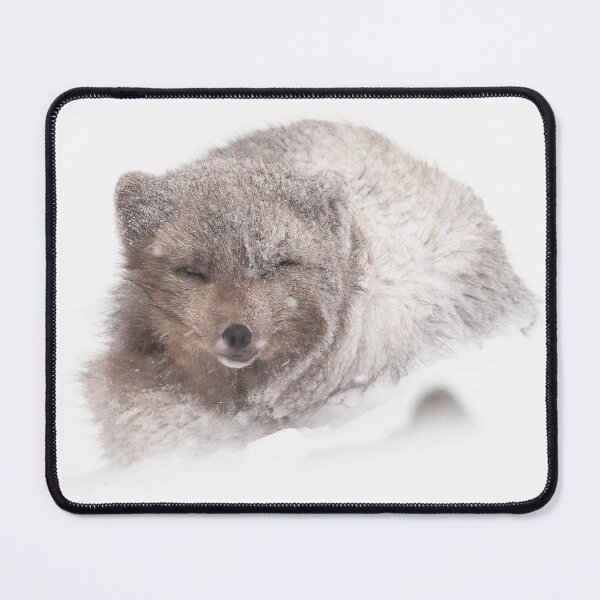 Item preview, Snow for the snow fox designed and sold by Anthony Brewer.