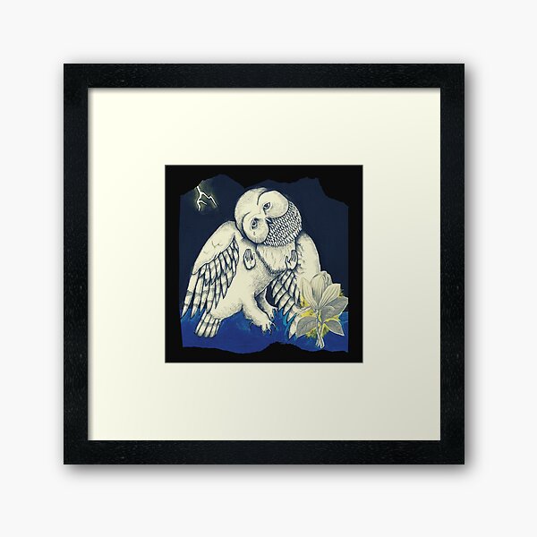 Jason Molina - Songs Ohia - Owl Framed Art Print