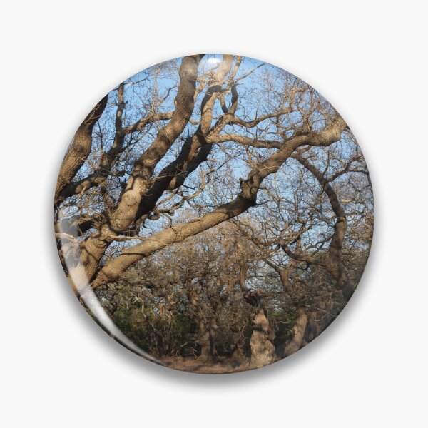 Item preview, Ancient woodland designed and sold by ccullen222.