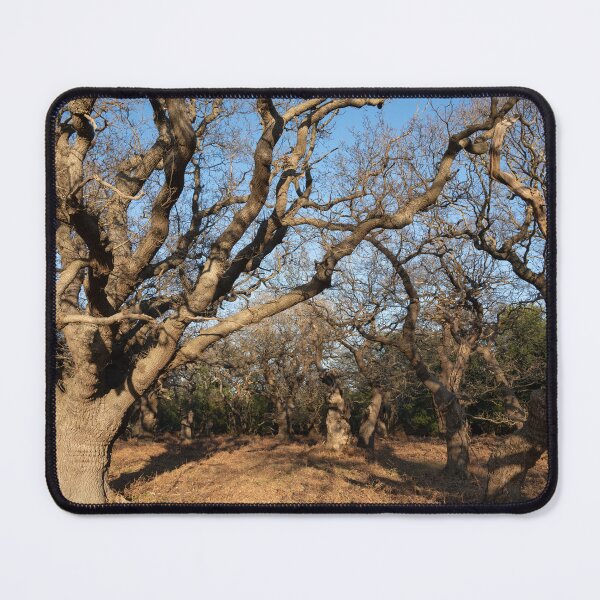 Item preview, Ancient woodland designed and sold by ccullen222.