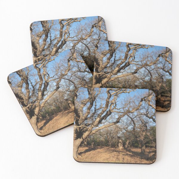 Item preview, Ancient woodland designed and sold by ccullen222.