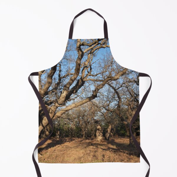Item preview, Ancient woodland designed and sold by ccullen222.