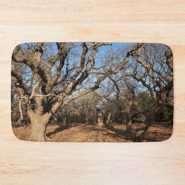 Item preview, Ancient woodland designed and sold by ccullen222.
