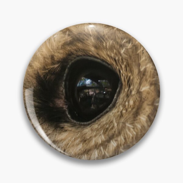 Item preview, Barred Owl Profile designed and sold by Lois  Bryan.