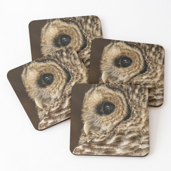 Item preview, Barred Owl Profile designed and sold by Lois  Bryan.