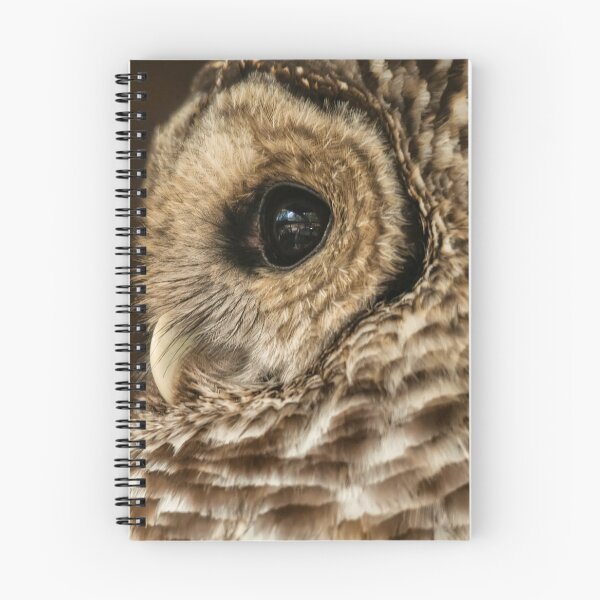 Item preview, Barred Owl Profile designed and sold by Lois  Bryan.