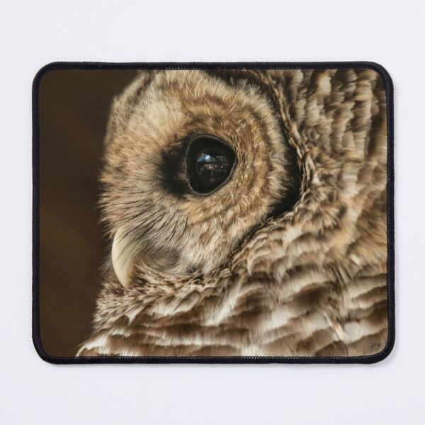Item preview, Barred Owl Profile designed and sold by Lois Bryan.