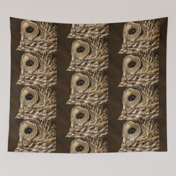 Item preview, Barred Owl Profile designed and sold by Lois  Bryan.