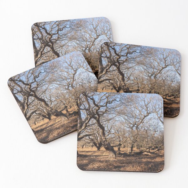Item preview, Winter woods designed and sold by ccullen222.