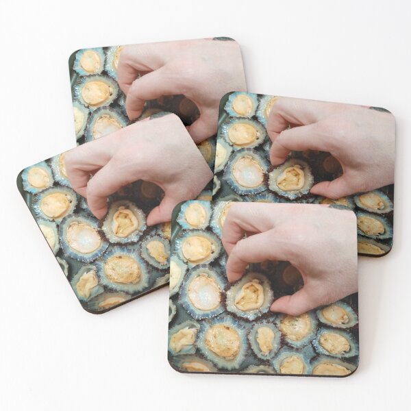 Item preview, Grilled limpets designed and sold by Gaspar Avila.