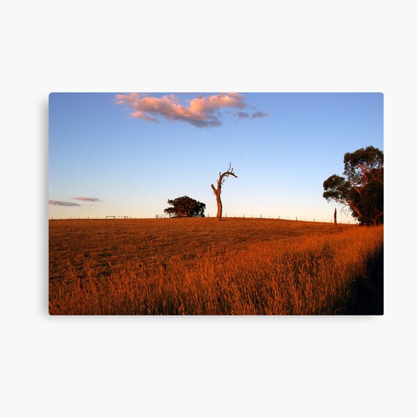 Sunburnt Australia Canvas Print