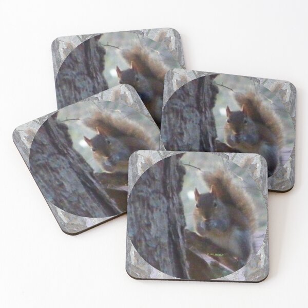 Item preview, Squirrel Pattern designed and sold by kristalcurt.