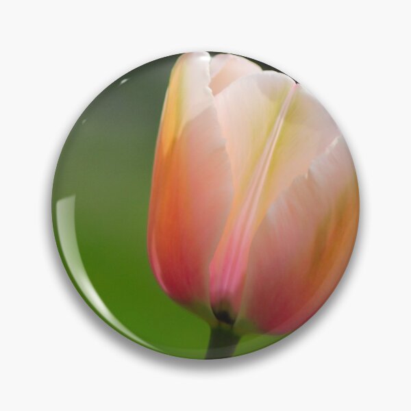 Aperçu de l'œuvre Tulipe rose créée et vendue par DesignMore21.