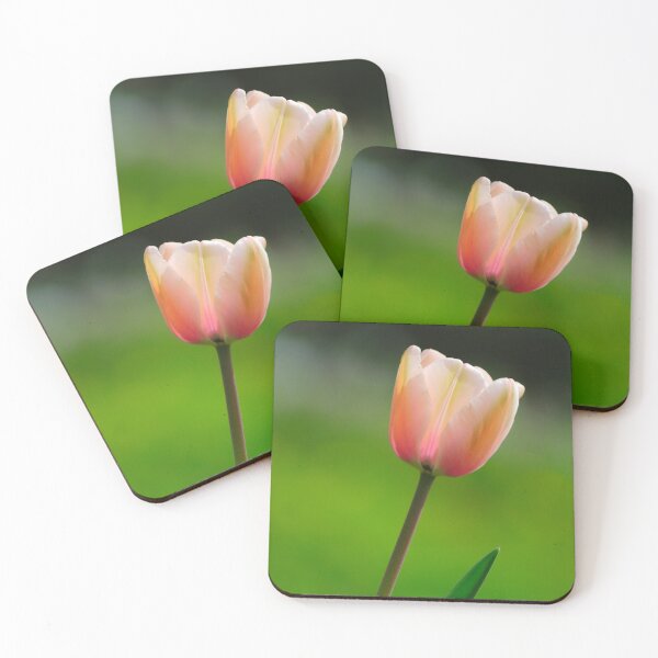 Aperçu de l'œuvre Tulipe rose créée et vendue par DesignMore21.