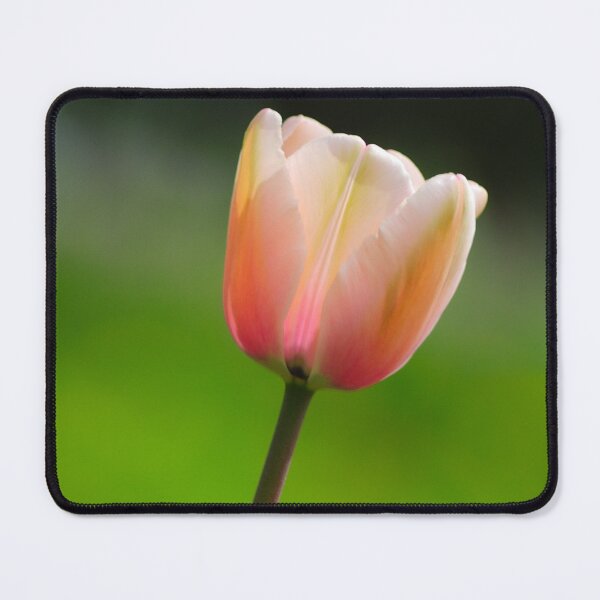 Item preview, Pink Tulip designed and sold by DesignMore21.