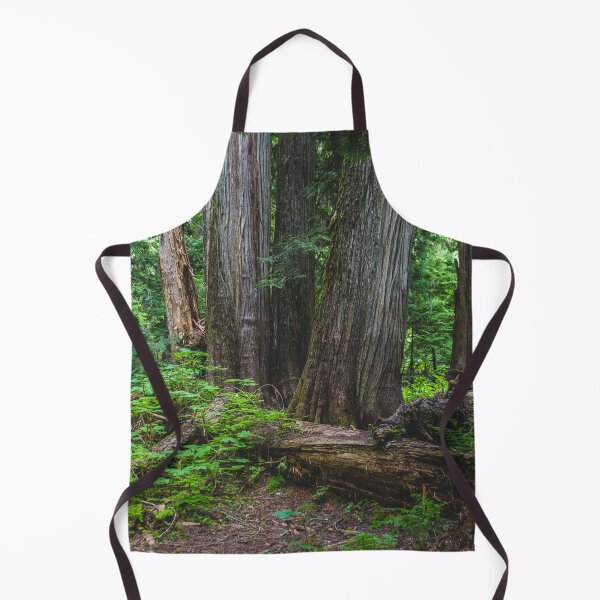 Item preview, Cedar Forest Scene - Pacific Northwest designed and sold by Lostlogo.
