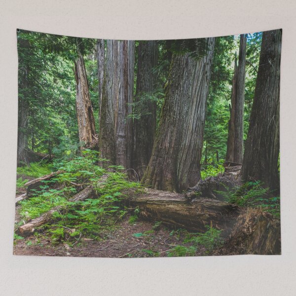 Item preview, Cedar Forest Scene - Pacific Northwest designed and sold by Lostlogo.
