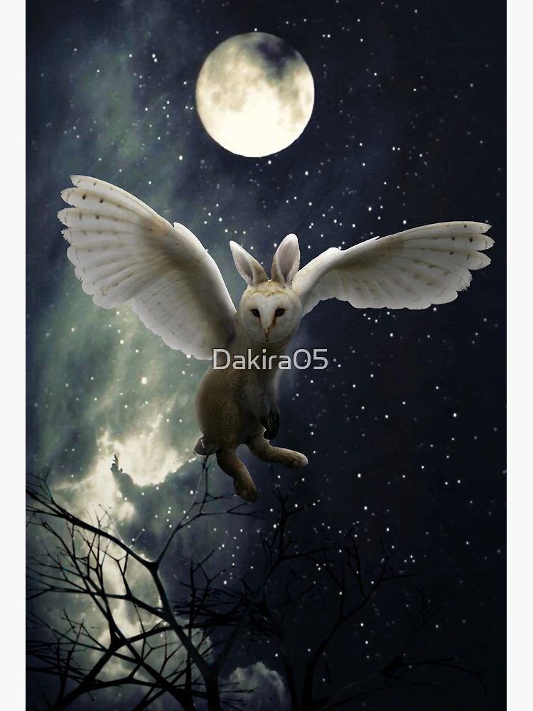 flat,750x,075,f-pad,750x1000,