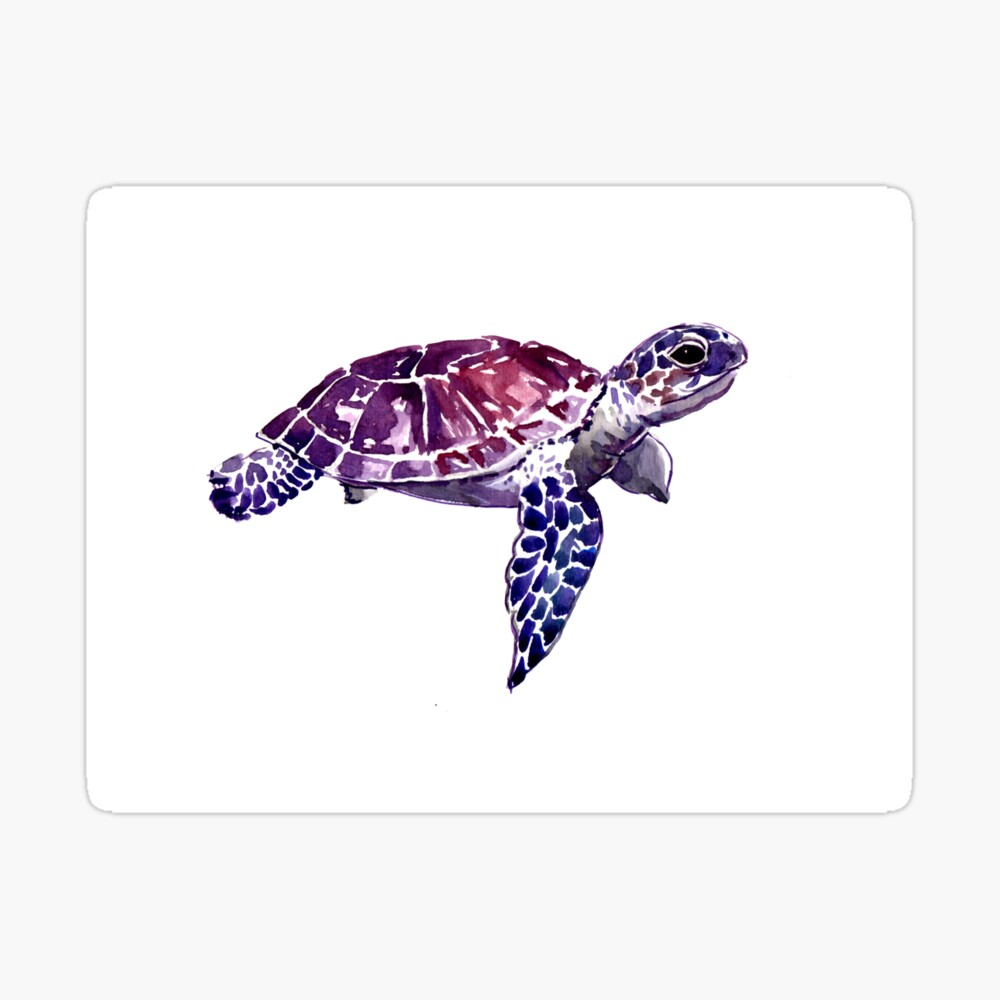 Pride Rainbow Sea Turtle Art Board Print for Sale by