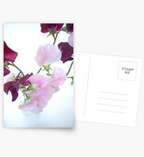 Sweet Pea Postcards