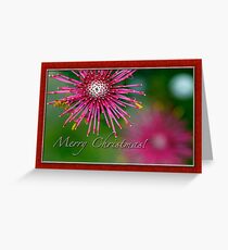 Merry Christmas 1 Greeting Card